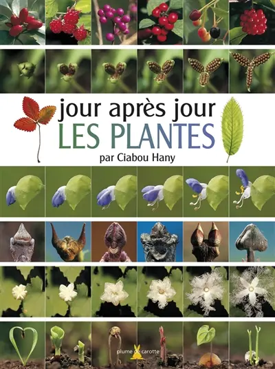 Jour après jour les plantes
