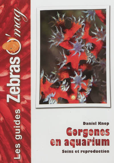 Gorgones : maintenance et reproduction en aquarium