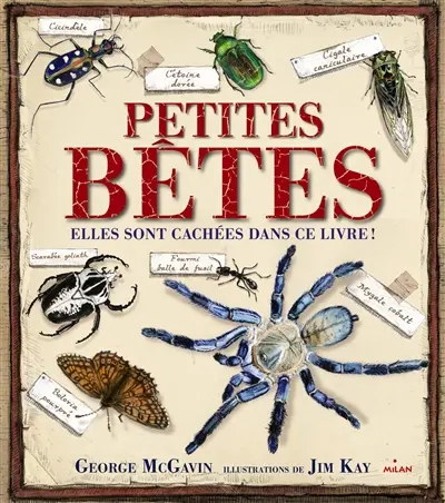 Petites bêtes