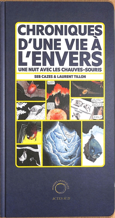 Chroniques d'une vie à l'envers : une nuit avec les chauves-souris