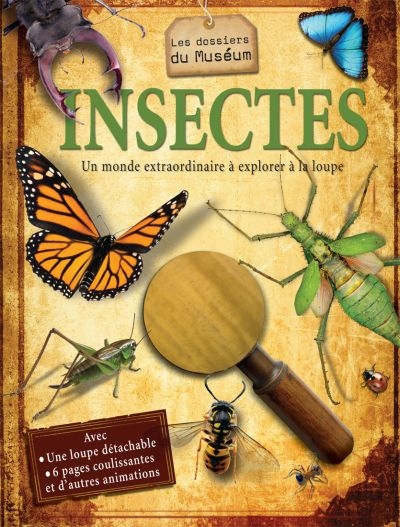Insectes : monde extraordinaire à explorer à la loupe