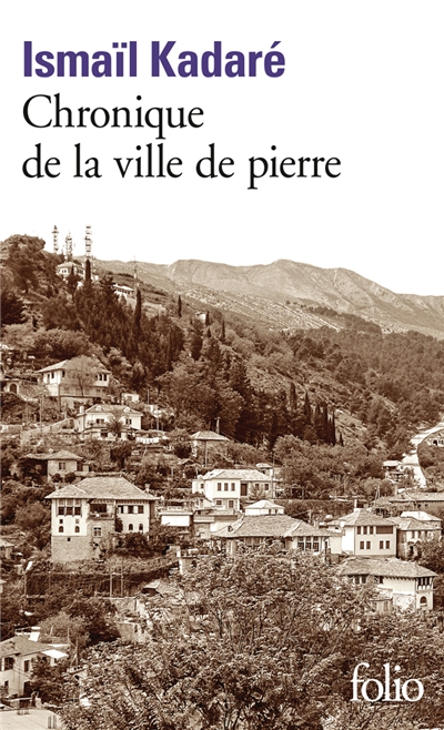 Chronique de la ville de pierre