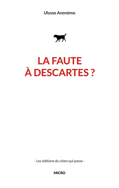 La faute à descartes ?