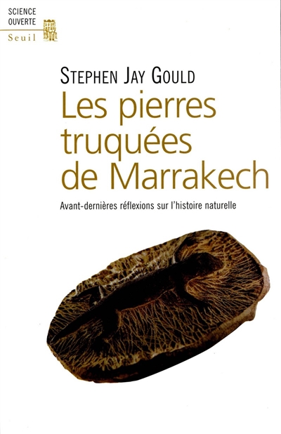 Les pierres truquées de Marrakech : avant-dernières réflexions sur l'histoire naturelle