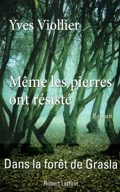 Même les pierres ont résisté