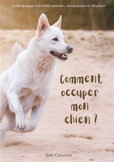 Comment occuper mon chien ?...