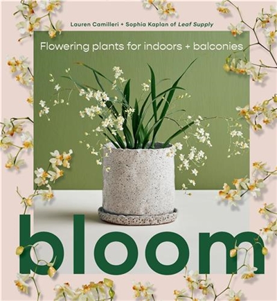Bloom : Flowering plants...