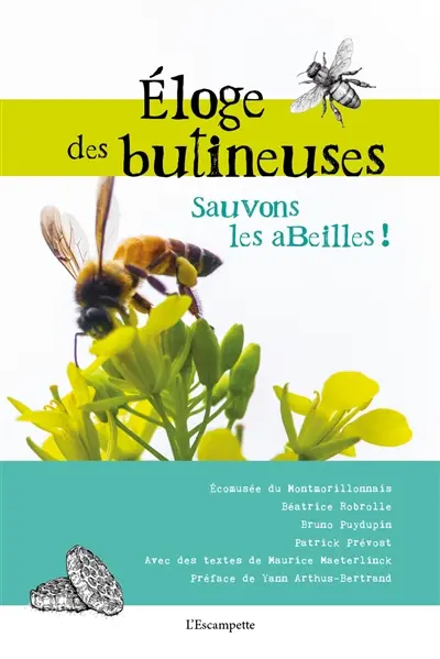 Eloge des butineuses : sauvons les abeilles !