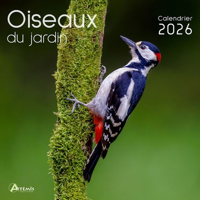 Oiseaux du jardin :...