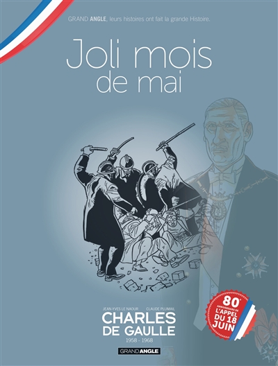 Charles de Gaulle. Vol. 4. 1958-1968 : joli mois de mai