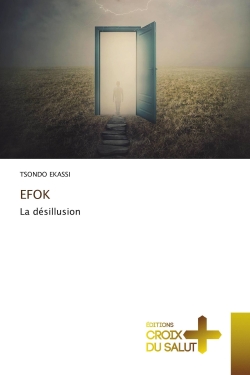 EFOK : La désillusion