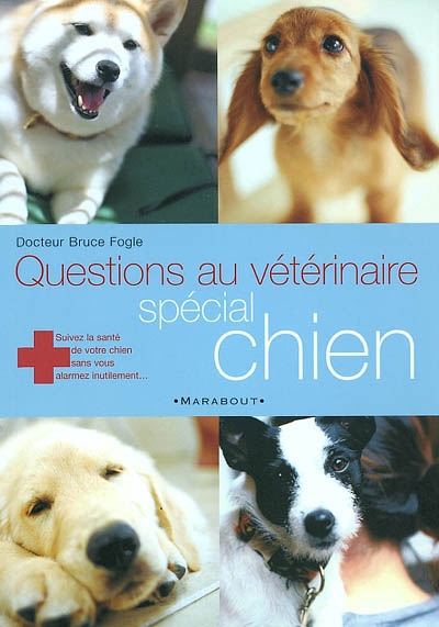 Questions au vétérinaire : le chien