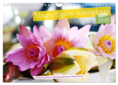 Magnifiques nénuphars...