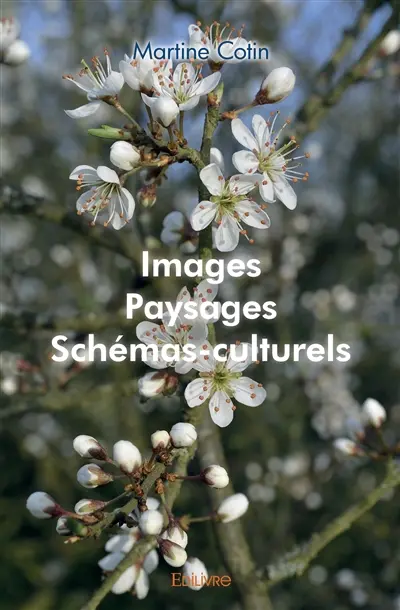 Images, paysages, schémas culturels