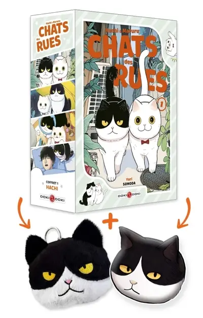 Hachi & Maruru : chats des rues. Vol. 1