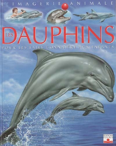 Les dauphins : pour les faire connaître aux enfants