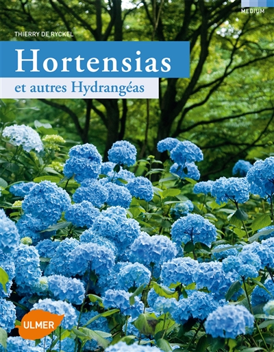 Hortensias : et autres hydrangéas