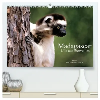 Madagascar L'île aux merveilles (Calendrier mural 2026 DIN A2 vertical) calendrier de bureau : Scènes de vie malgache