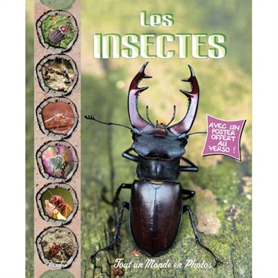 Les insectes