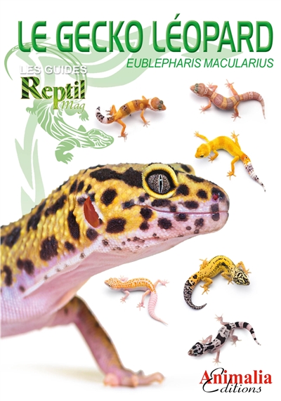 Le gecko léopard : Eublepharis macularius