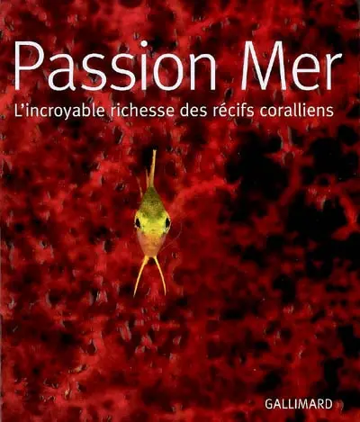 Passion mer : l'incroyable richesse des récifs coralliens