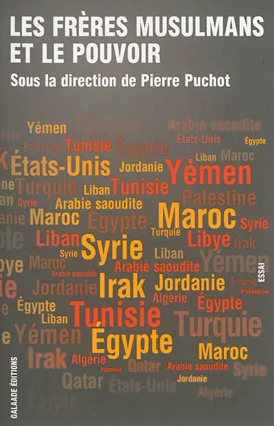 Les Frères musulmans et le pouvoir, 2011-2014