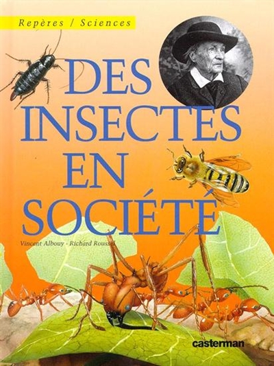 Des insectes en société