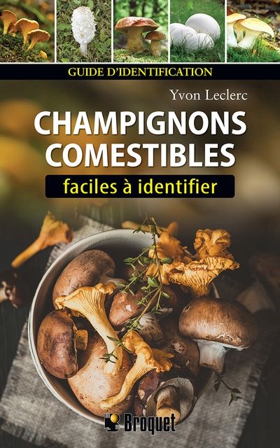 Champignons comestibles faciles à identifier : Guide d'identification