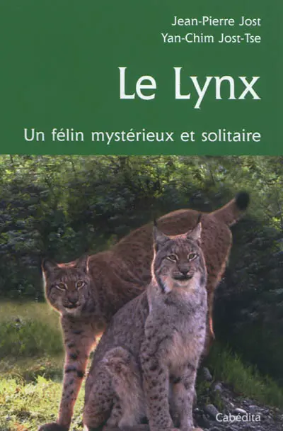 Le lynx : chasseur discret et solitaire