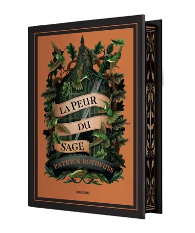 Chronique du tueur de roi. Vol. 2. La peur du sage