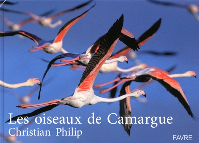 Les oiseaux de Camargue