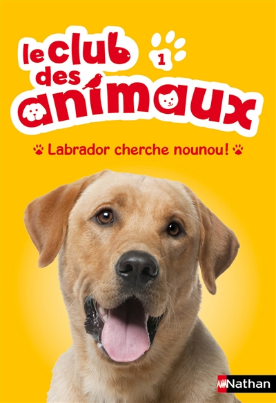 Labrador cherche nounou !