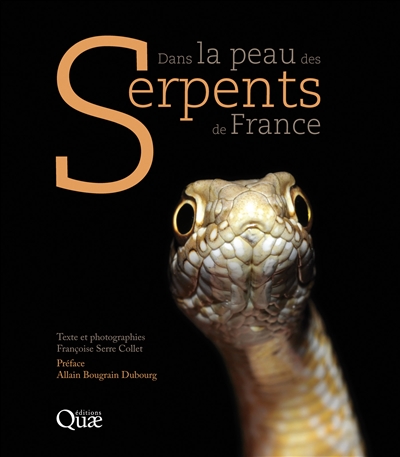 Dans la peau des serpents de France