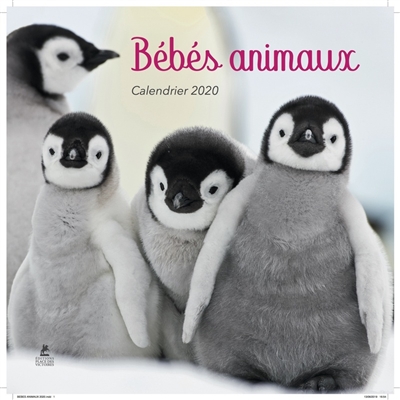 bébés animaux : calendrier 2020