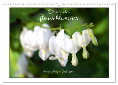 Charmantes fleurs blanches...