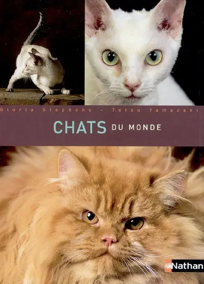 Chats du monde