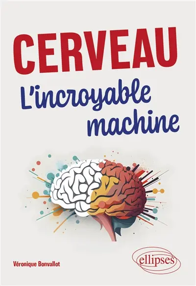 Cerveau : l'incroyable machine