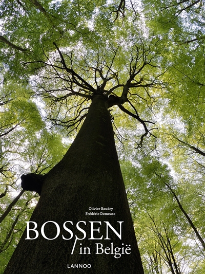 Bossen in België