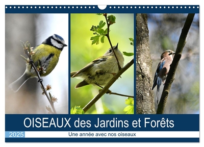 OISEAUX des Jardins et...