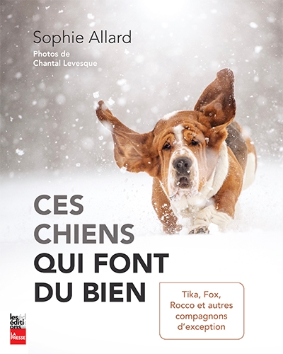 Ces chiens qui font du bien : Tika, Fox, Rocco et autres compagnons d'exception