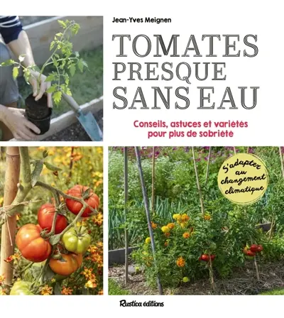 Tomates presque sans eau : conseils, astuces et variétés pour plus de sobriété : s'adapter au changement climatique