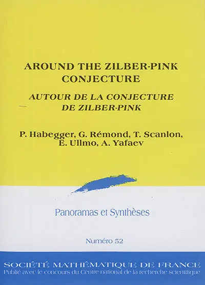 Around the Zilber-Pink conjecture. Autour de la conjecture de Zilber-Pink
