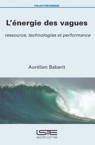 L'énergie des vagues : ressource, technologies et performance
