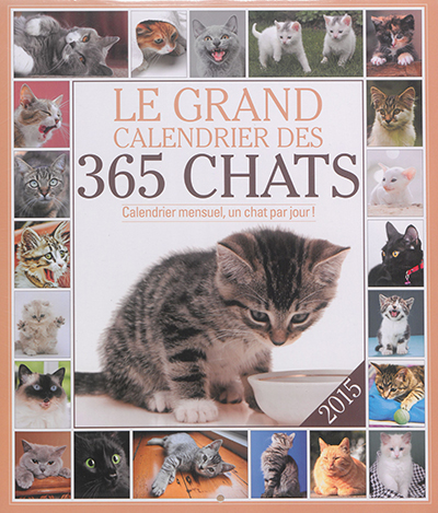 Le grand calendrier des 365 chats 2015 : calendrier mensuel, une photo par jour !