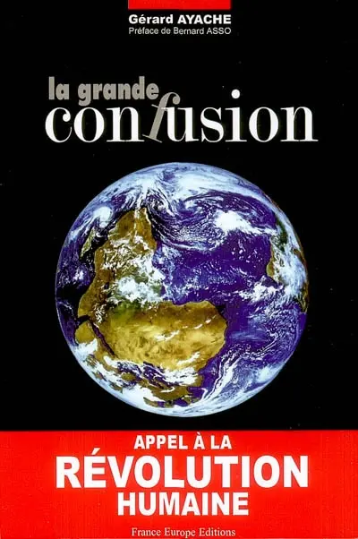 La grande confusion : essai