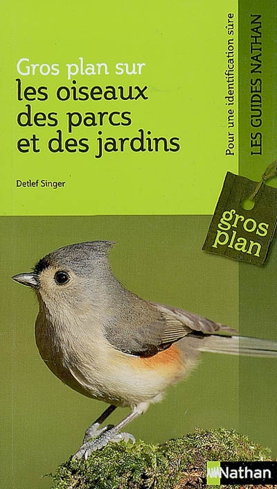 Gros plan sur les oiseaux des parcs et des jardins