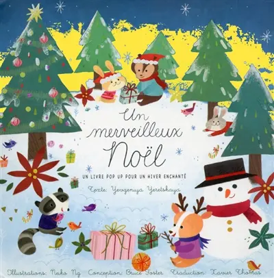 Un merveilleux Noël : un livre pop up pour un hiver enchanté