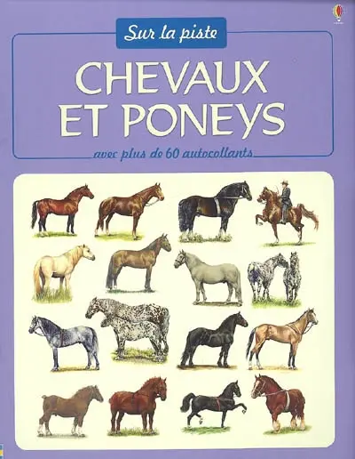 Chevaux et poneys