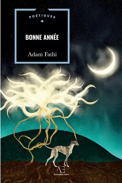 Bonne année