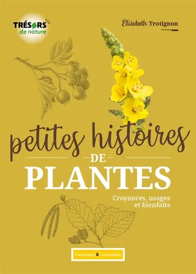 Petites histoires de plantes : croyances, usages et bienfaits